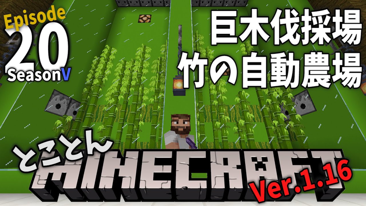 【⛏とことんマイクラ】巨木伐採場＋竹の自動農場 Ep.20【Ver.1.16】