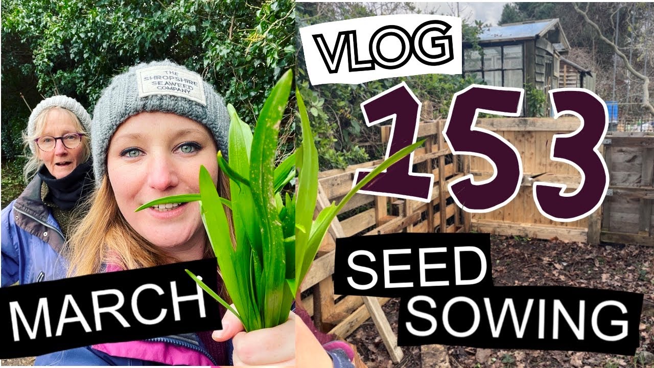 Ep 153 - Mid-March Seed Sowing. + Reclaiming land on the Allotment || Plot 37