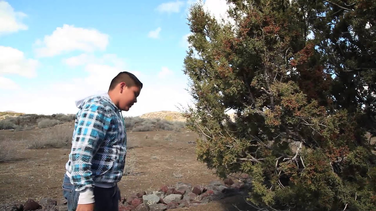 Juniper Ash