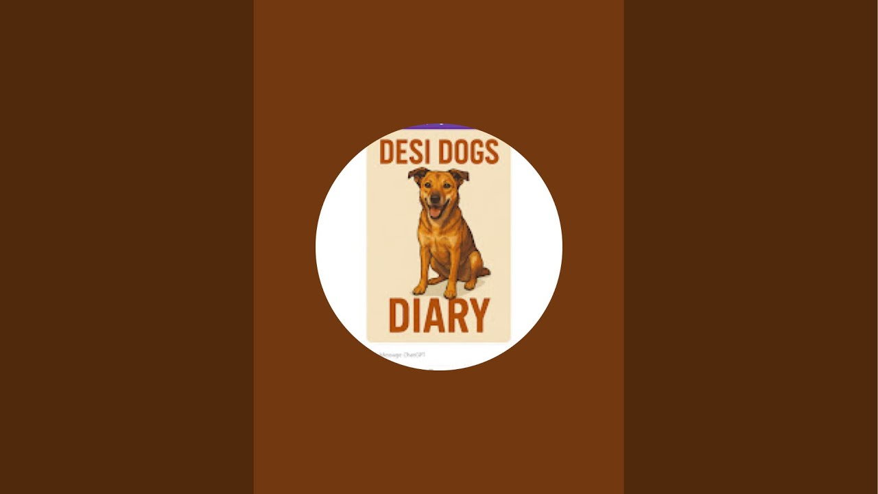 Desi Dogs Diary is live!