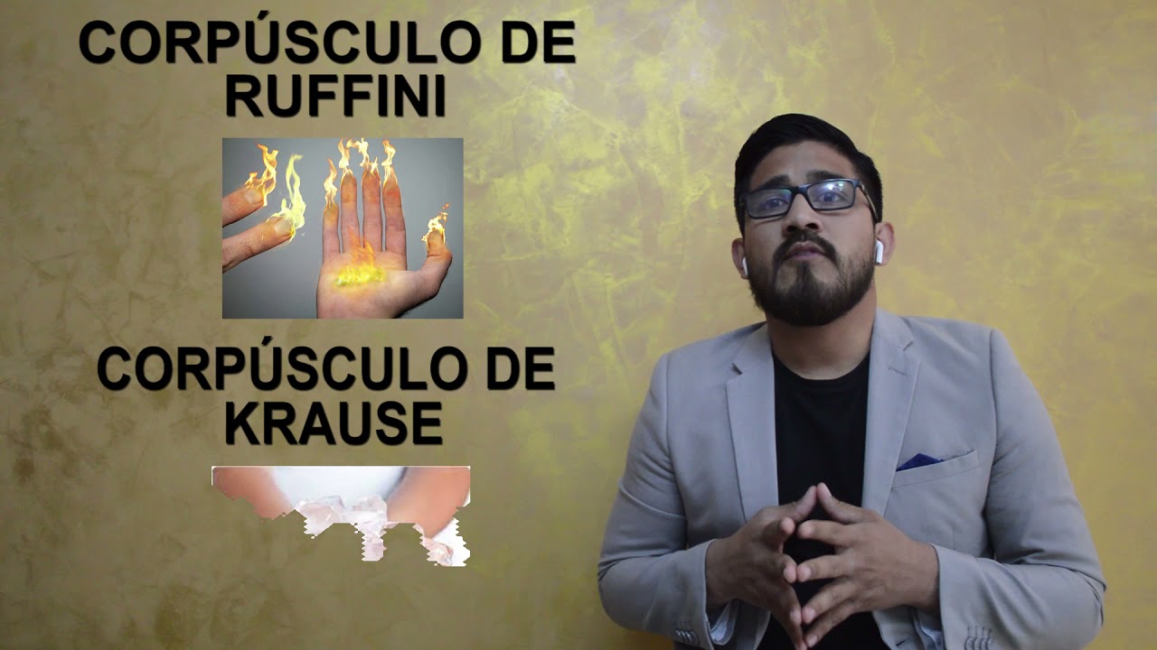 SENSIBILIDAD SOMATICA UPN NEUROPSICOLOGIA