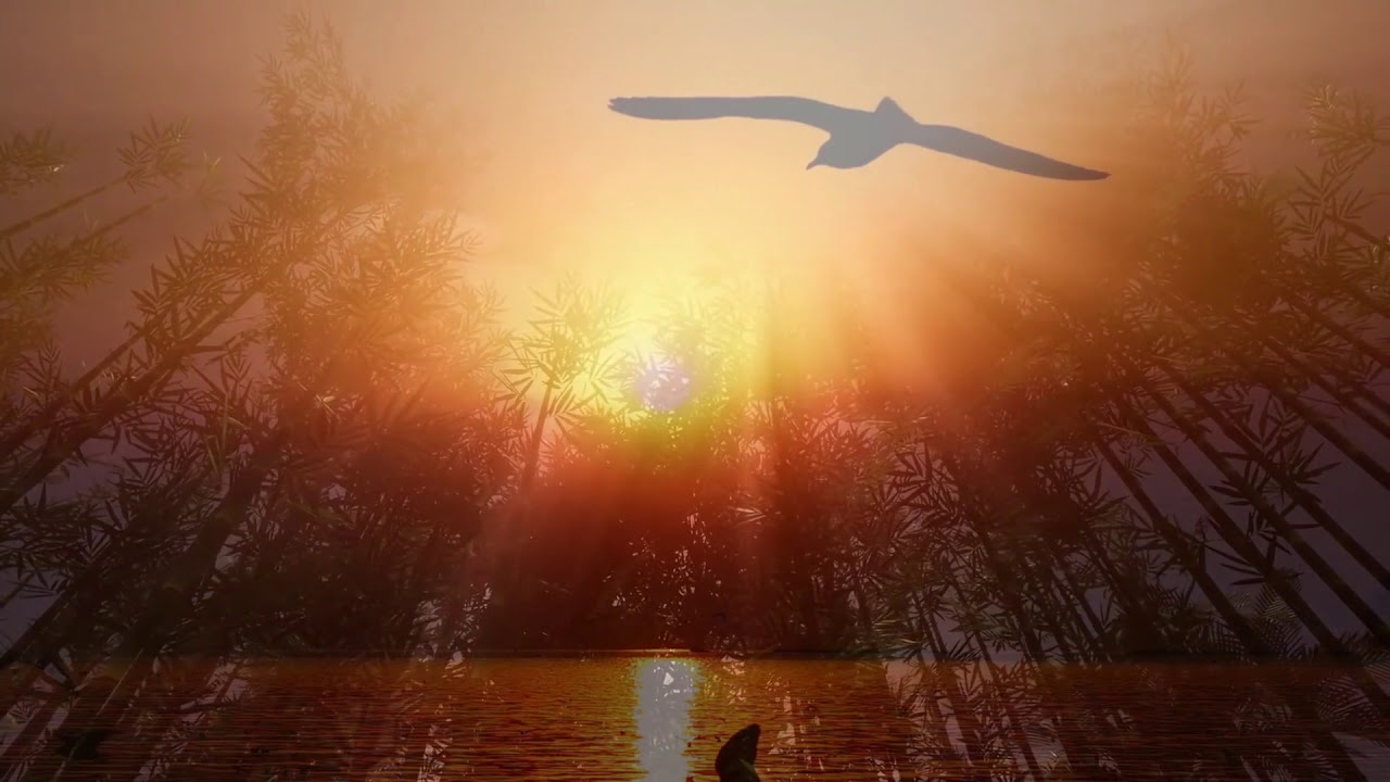 Missing   -   Vangelis