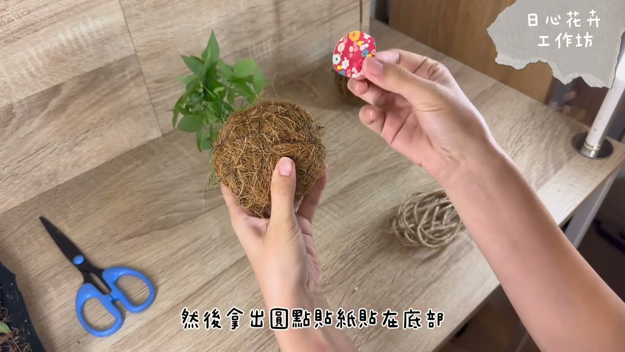 【日心花卉工作坊】一起來做水苔球！室內的綠植魔法🪄水苔球材料包教學影片/Koketama Making Workshop/苔玉DIYワークショップ✨