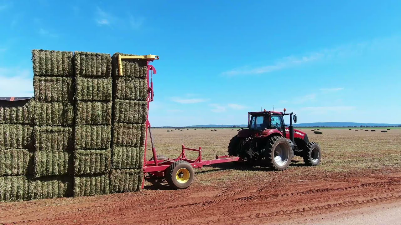 Vetch Hay Hay Hay 2021