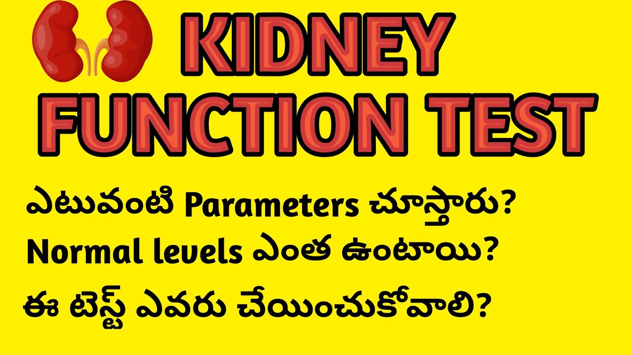 Kidney Function Test in Telugu||KFT||RFT||మూత్రపిండాల వ్యాధి ఉన్నవారు ఎటువంటి పరీక్షలు చేయించుకోవాలి