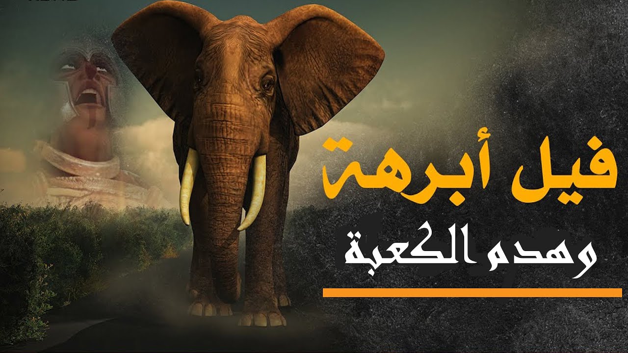 قصة عام الفيل وماذا حدث مع أبرهة عندما اراد هدم الكعبة المشرفة #نبي_الرحمة