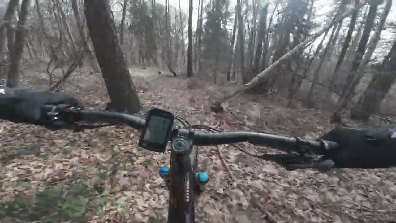 DJI 20260226122435 0005 D