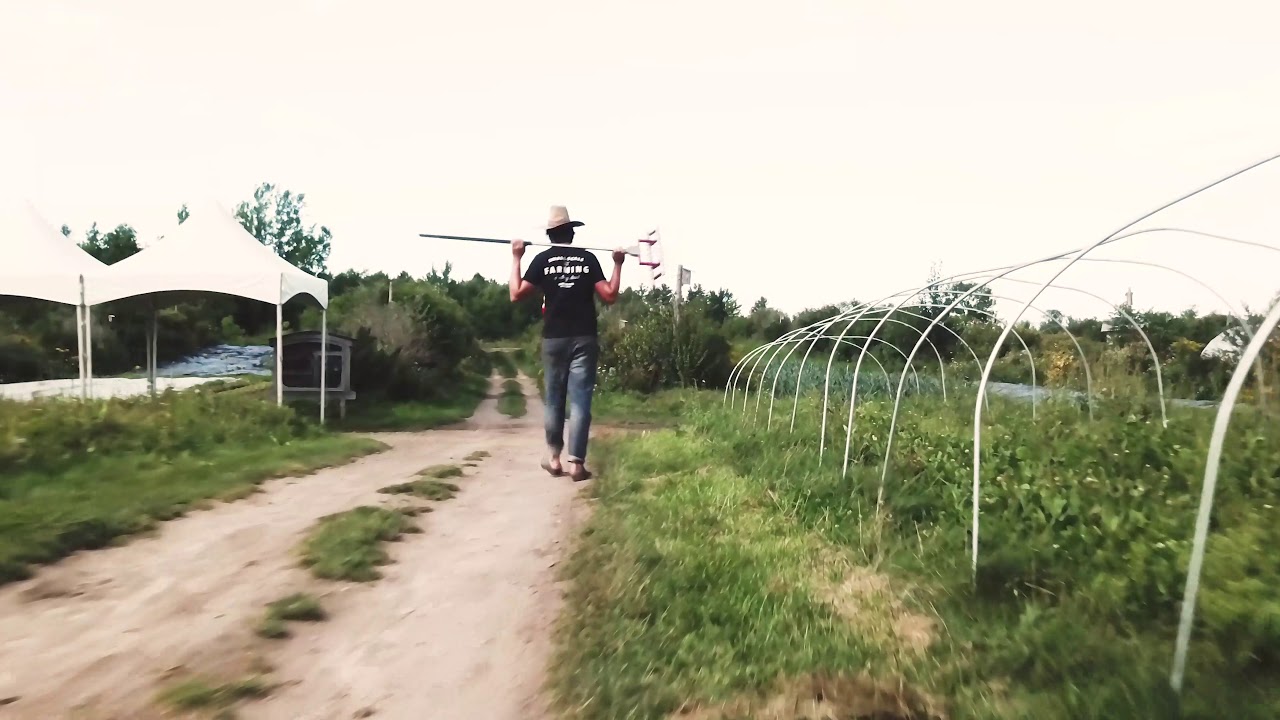 Drone ferme des 4 temps / Flying over ferme des 4 temps
