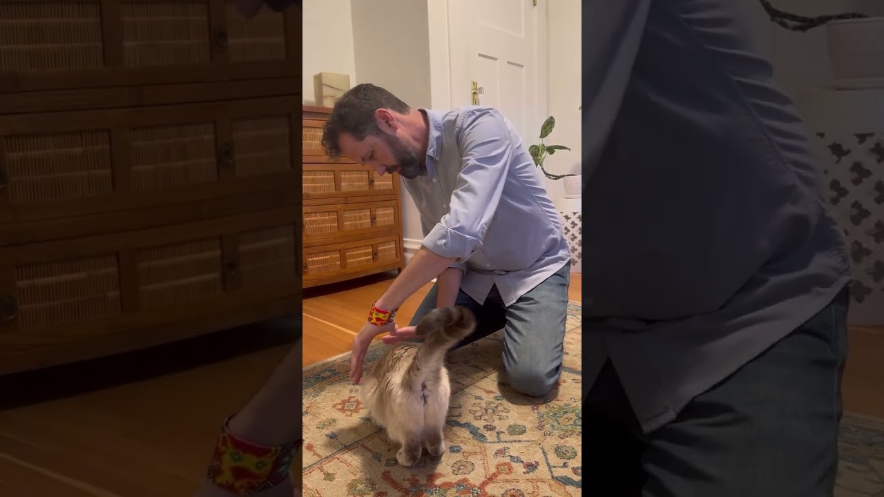 Animal Healing with Bio Energy Healer Michael D'Alton