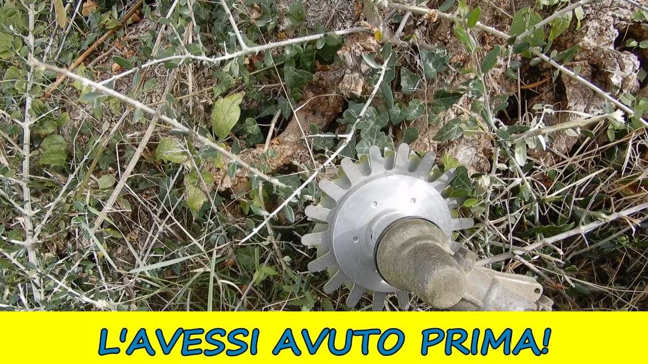 SPOLLONATORE universale per decespugliatore per i polloni degli ulivi o alberi da frutto!