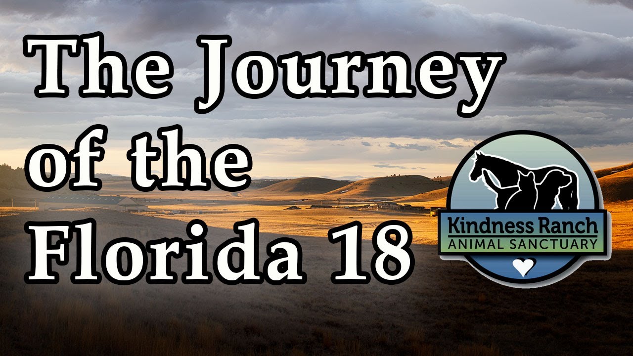 Kindness Ranch brings the Florida 18 home to Wyoming