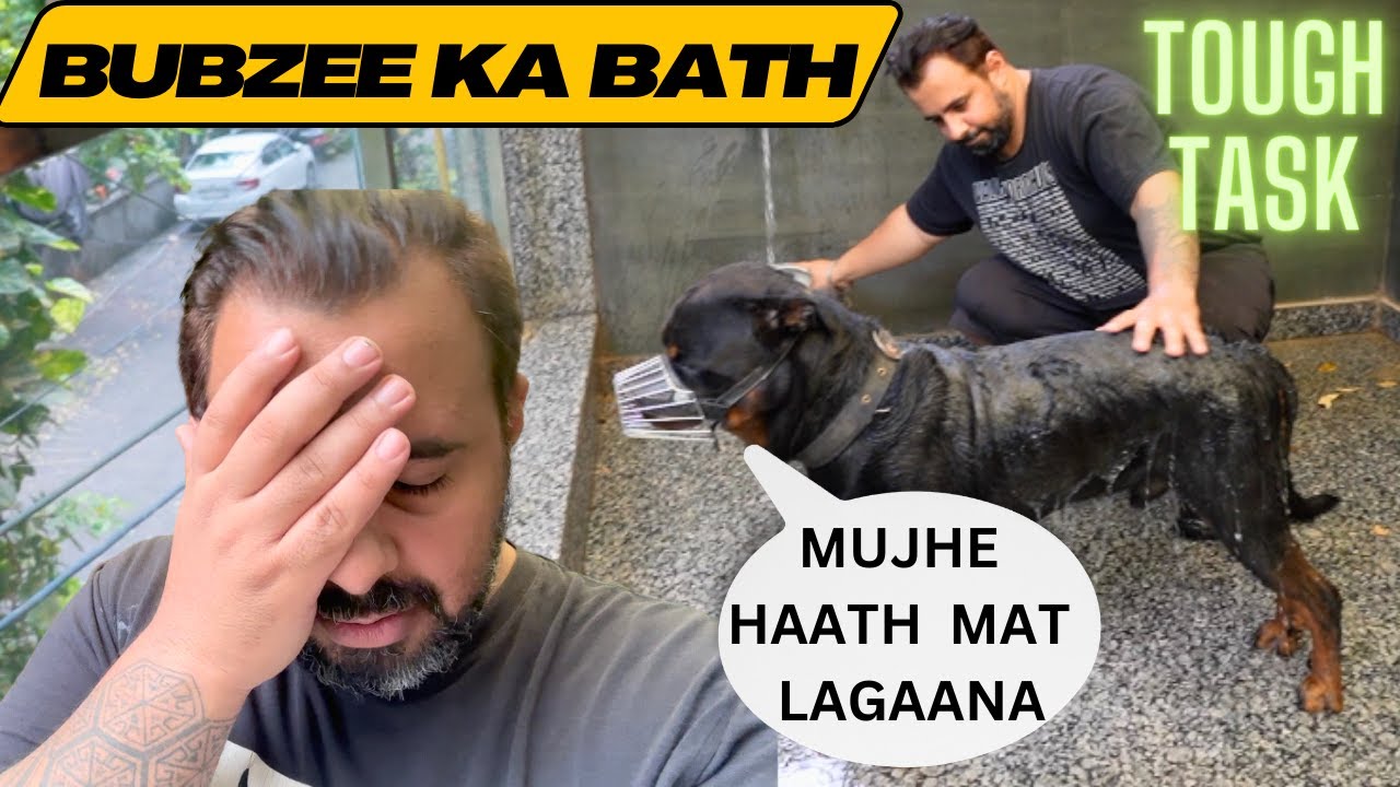 Male Rottweiler Bubzee Ko Bath Hua Bohot Mushkil: Bubzee Becomes Aggressive While Taking Bath