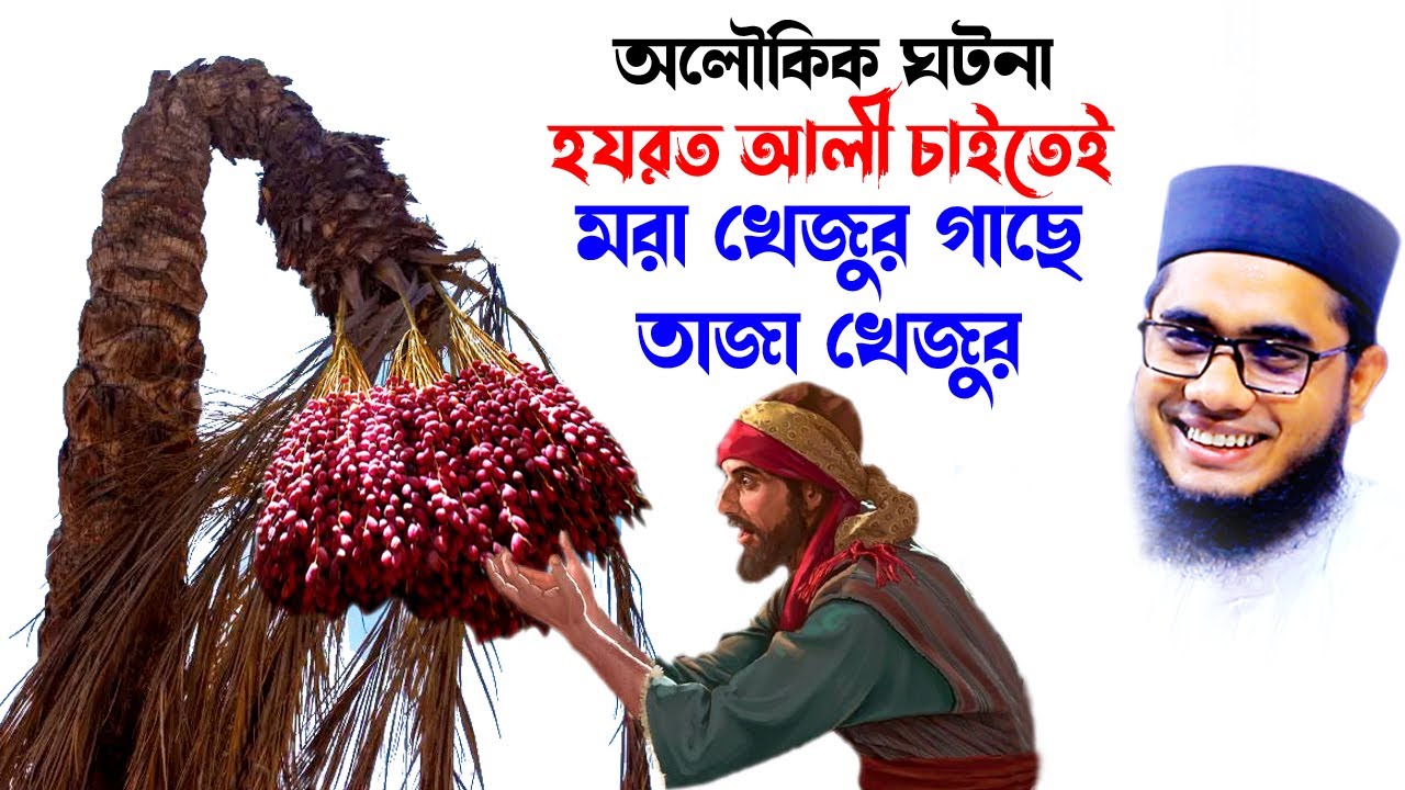 হযরত আলী চাইতেই মরা গাছে তাজা খেজুর| shahidur rahman mahmudabadi bangla waz download Islamic tv 24