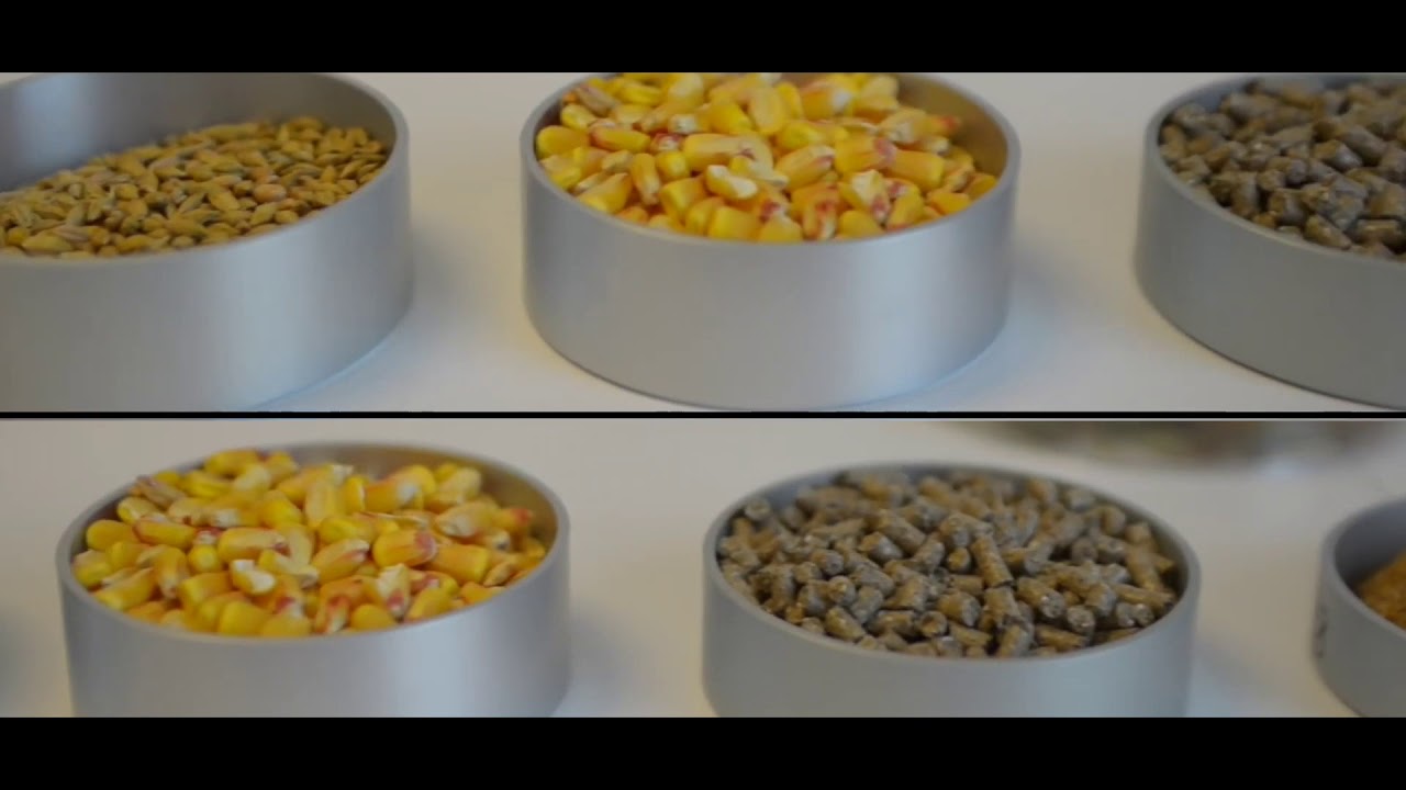 Feed Mill Management final | IDP TANUVAS