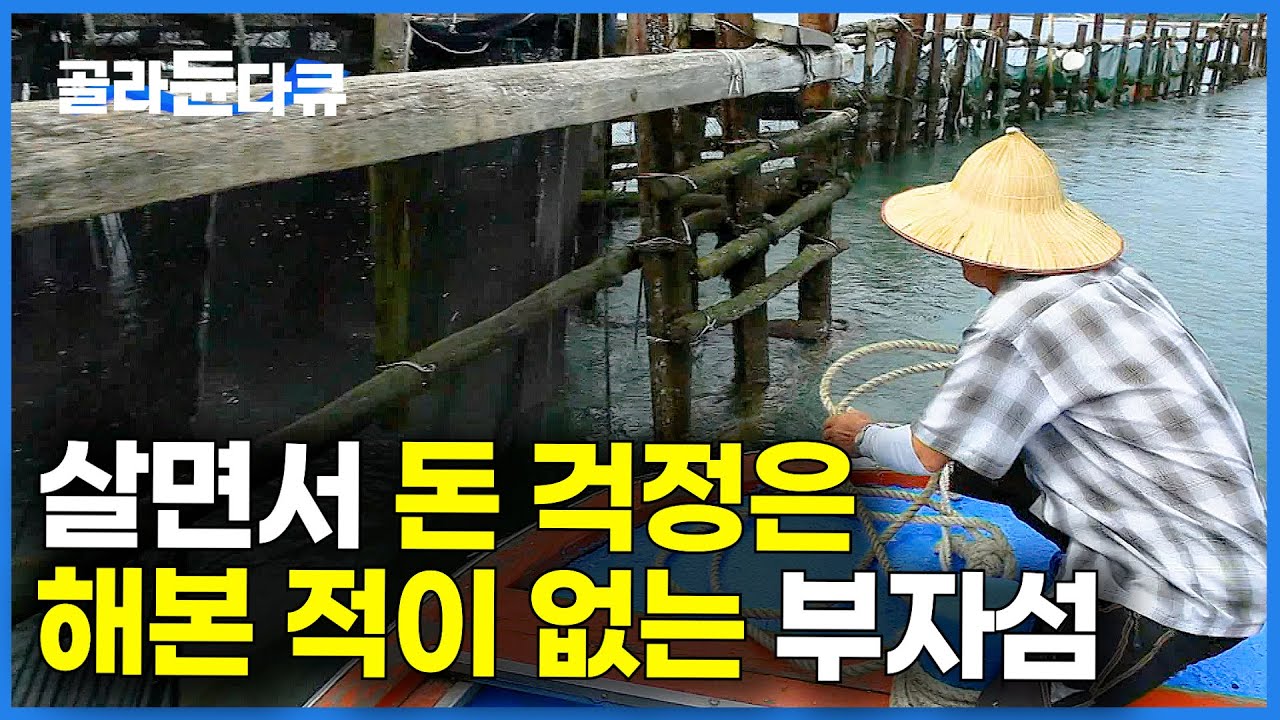 3분 거리에서 뜰채로 건지면 끝. 고기가 알아서 들어온다는 부자섬의 정체｜사천 신수도 죽방렴 멸치잡이｜한국기행｜#골라듄다큐