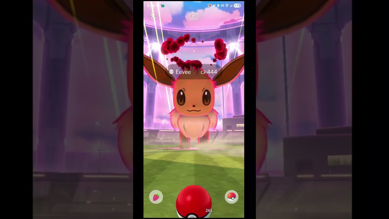 ✨️ Whismur Spotlight Hour!! ✨️