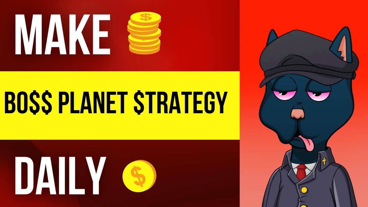 Boss Cat Rocket Club Long Term Investment Strategy!