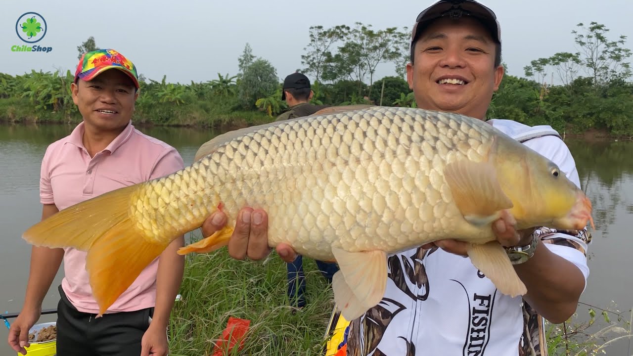 BẤT NGỜ VỚI AO CÁ BỎ HOANG 1 NĂM | KHI MỘC ĐỎ MỘC XANH THỂ HIỆN