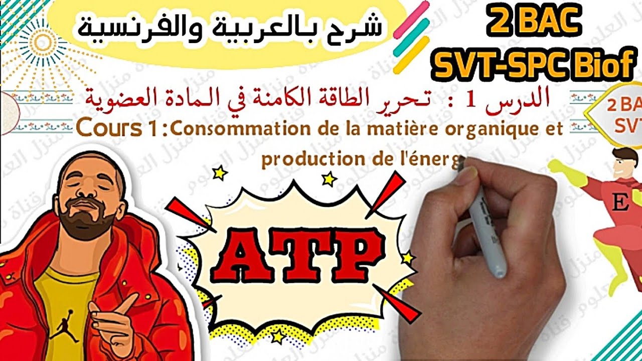 Consommation de la matière organique et production de l'énergie 2BAC - SVT -SPC biof (Partie 1)