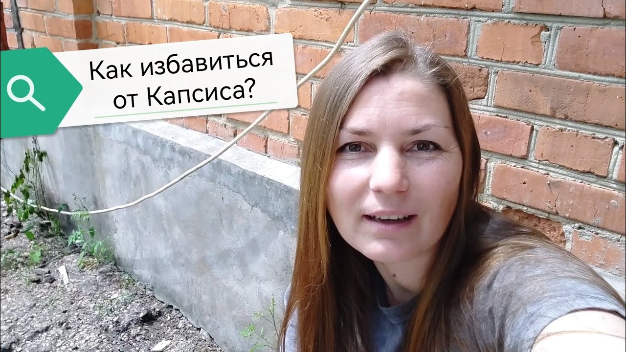 Борьба!Я против Кампсиса.Кто победит?#жизньвдеревне #сад #огород #капсис