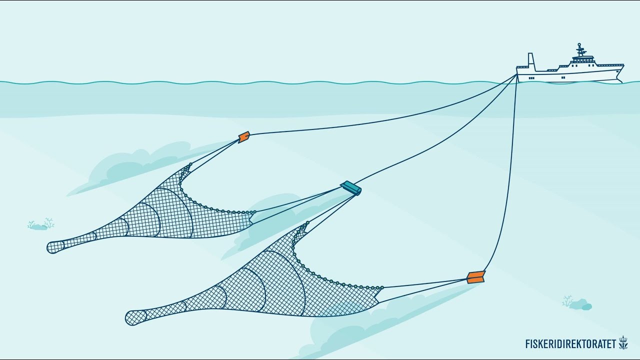 Fishing activity on the Norwegian continental shelf