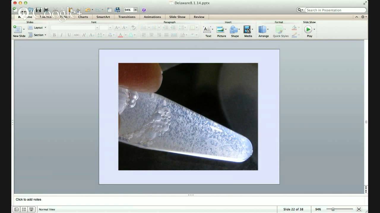 Esther Angert: Go Big &mdash; DNA  Dynamics of Very Large Bacteria