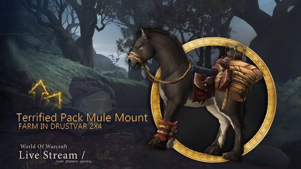Livestream-Terrified Pack Mule Mount Farm in Drustvar 2X4
