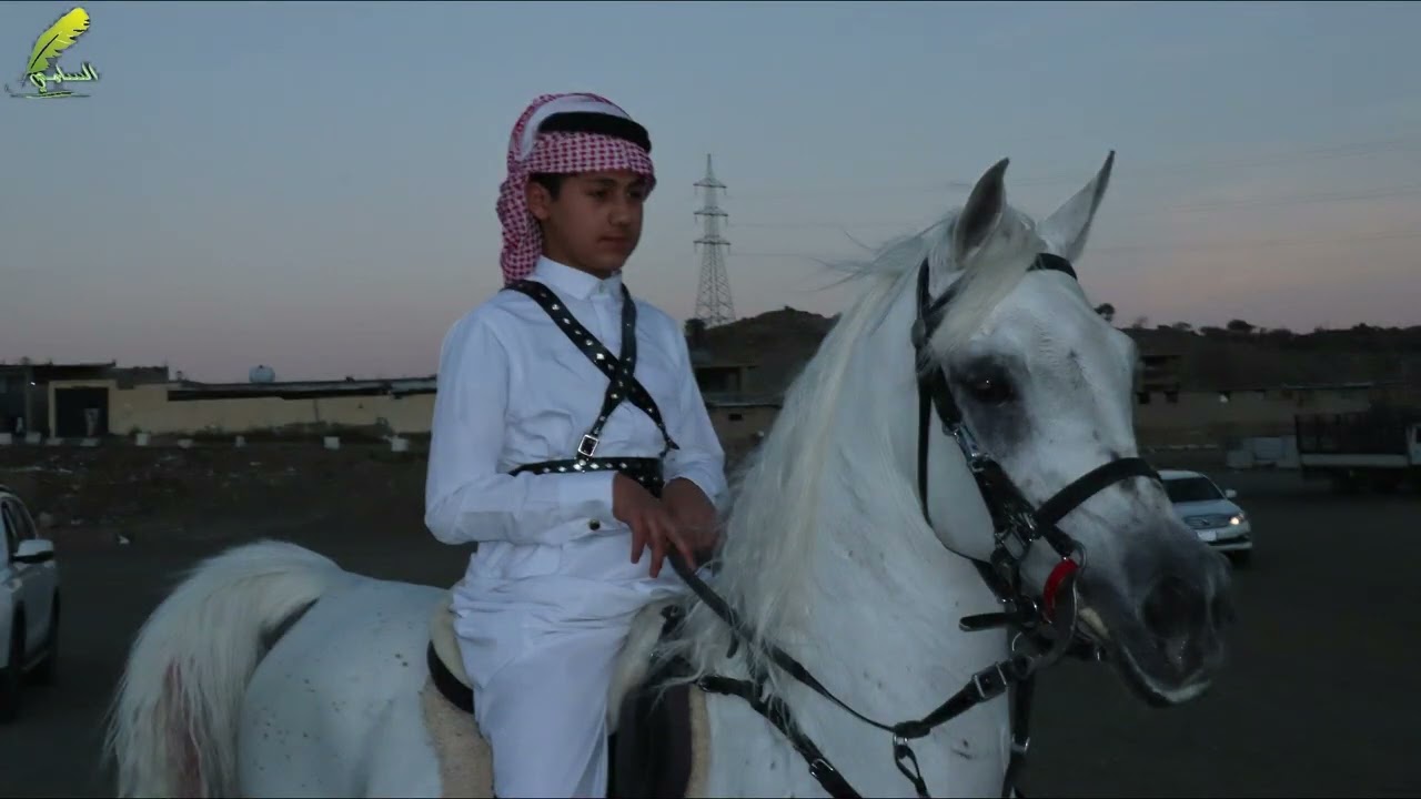 يوم التأسيس للمملكة العربية السعودية وحضور مزاد الخيل الاسبوعي