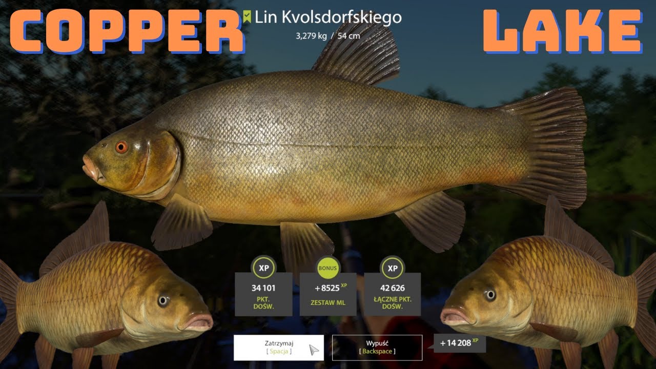 F1 + Tench no pva Copper Lake | Russian Fishing 4
