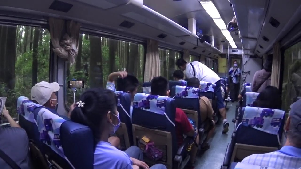 阿里山小火車-2024.07.10上行(海拔1800，林鐵最美的林相、最有趣的之字上行鐵道，火車倒退魯倒幾次?雨淋二萬坪)