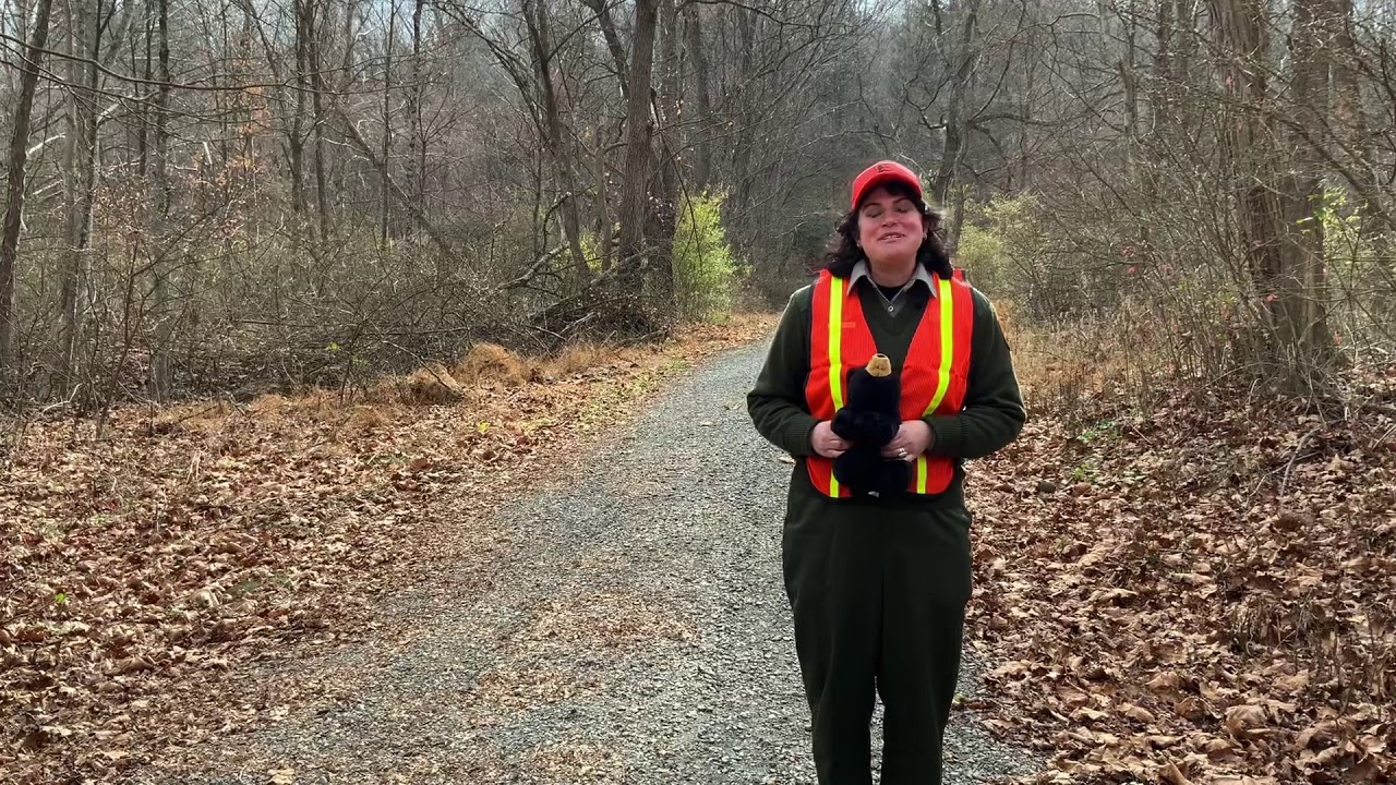 Bear Aware at Delaware Water Gap National Recreation Area