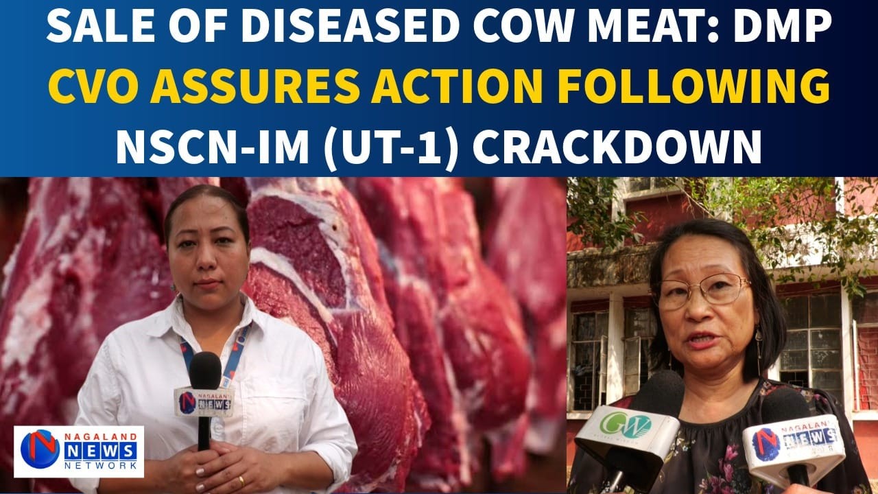 SALE OF DISEASED COW MEAT: DMP CVO ASSURES ACTION FOLLOWING NSCN-IM (UT-1) CRACKDOWN