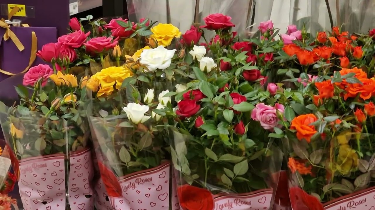 Пойдём посмотрим #Прага2026 #февраль #витрина #цветы #праздник #flowers #vitrina #praha #prague #cz 