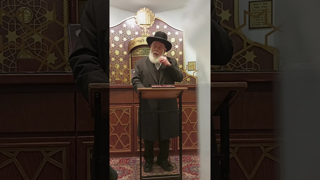 הספד ביב