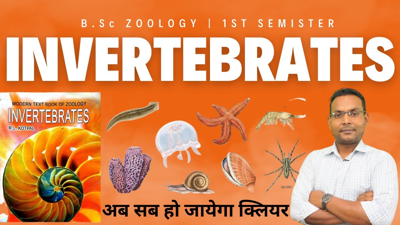 B.Sc Zoology | Chapter-1 | INVERTEBRATES | R.L Kotpal