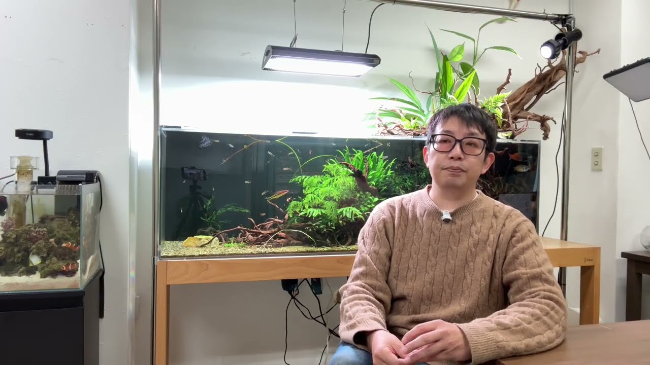 SNSをやるのは本当に良いのか??【木下裕人のアクアリウムラジオ #81】