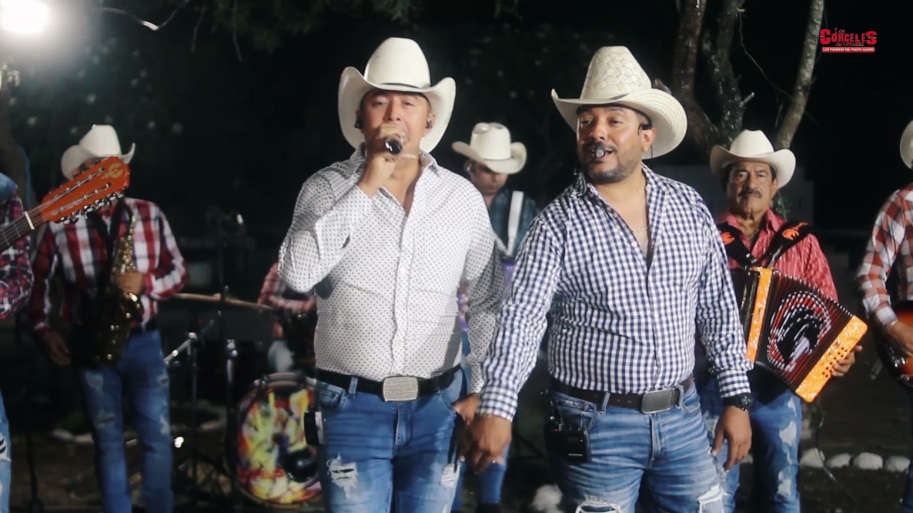 LOS CORCELES DE LINARES- Perfume Barato