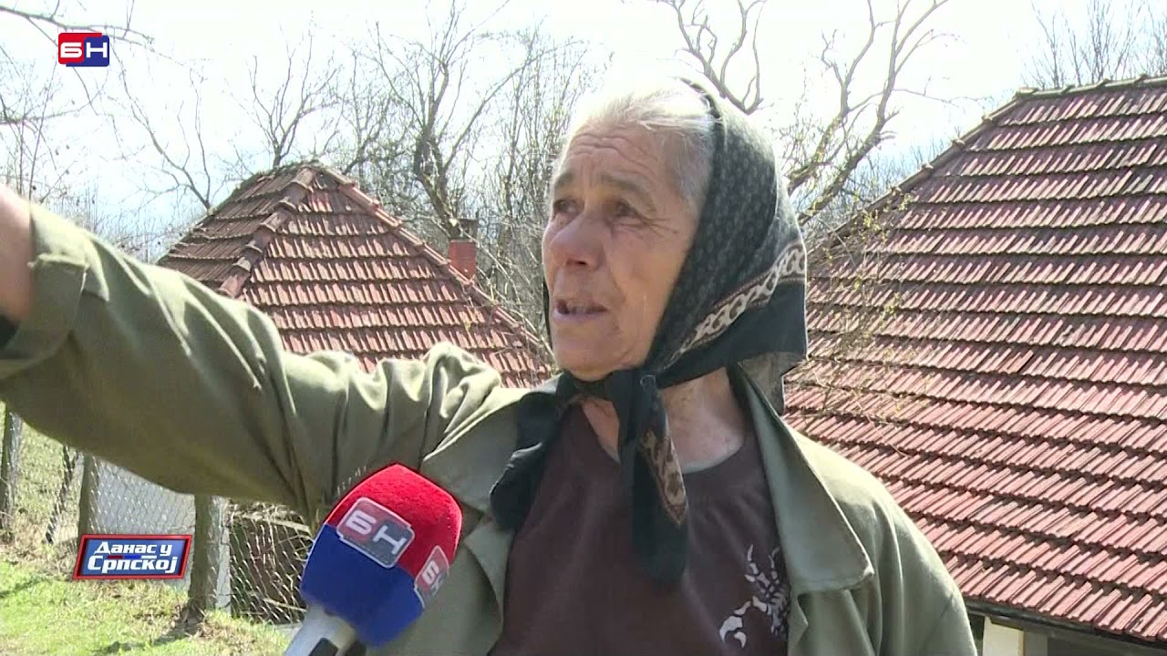 U okolini Zvornika primjećen je medvjed gdje je pričinio veliku materijalnu štetu (BN TV 2021) HD