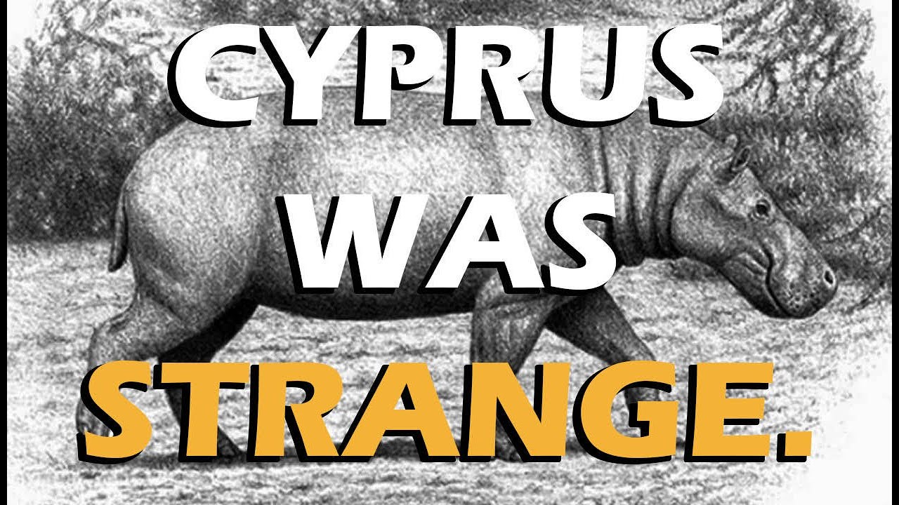 The WILD Mammals Of Cyprus