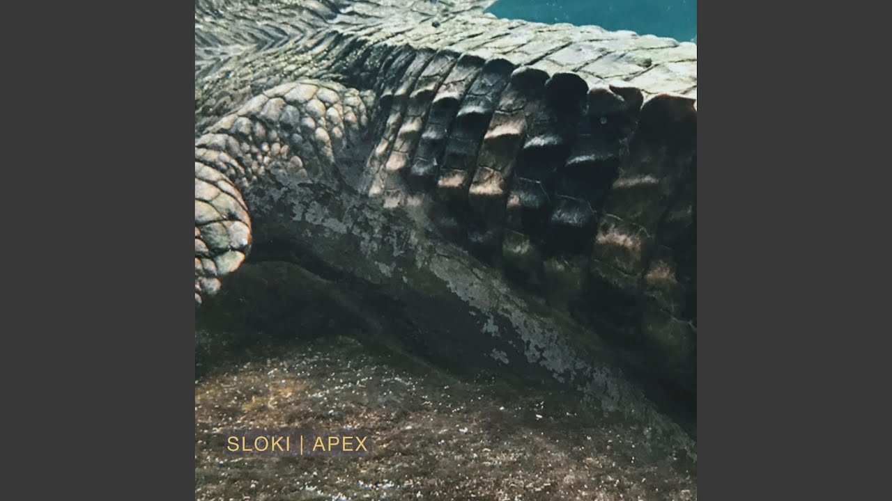 Apex