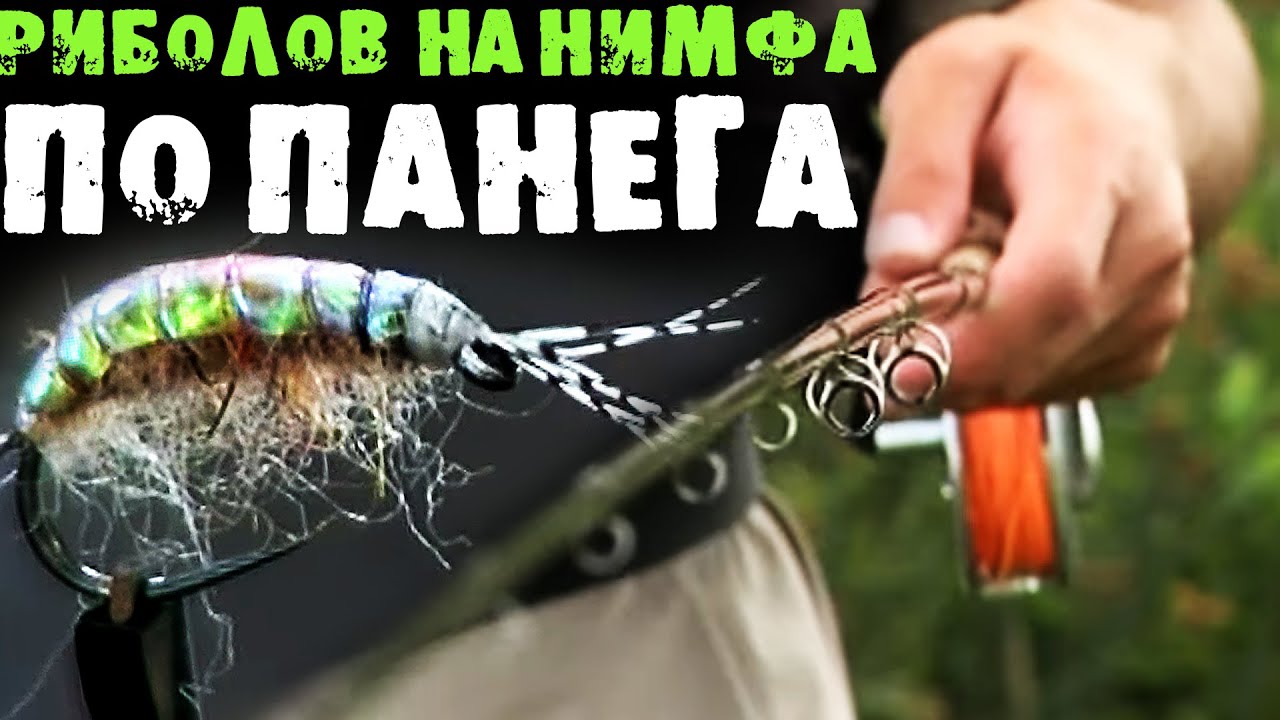 Как да хванем ПЪСТЪРВИ на НИМФА? / Станислав Мънков РАЗКРИВА ТАЙНАТА на р. Панега