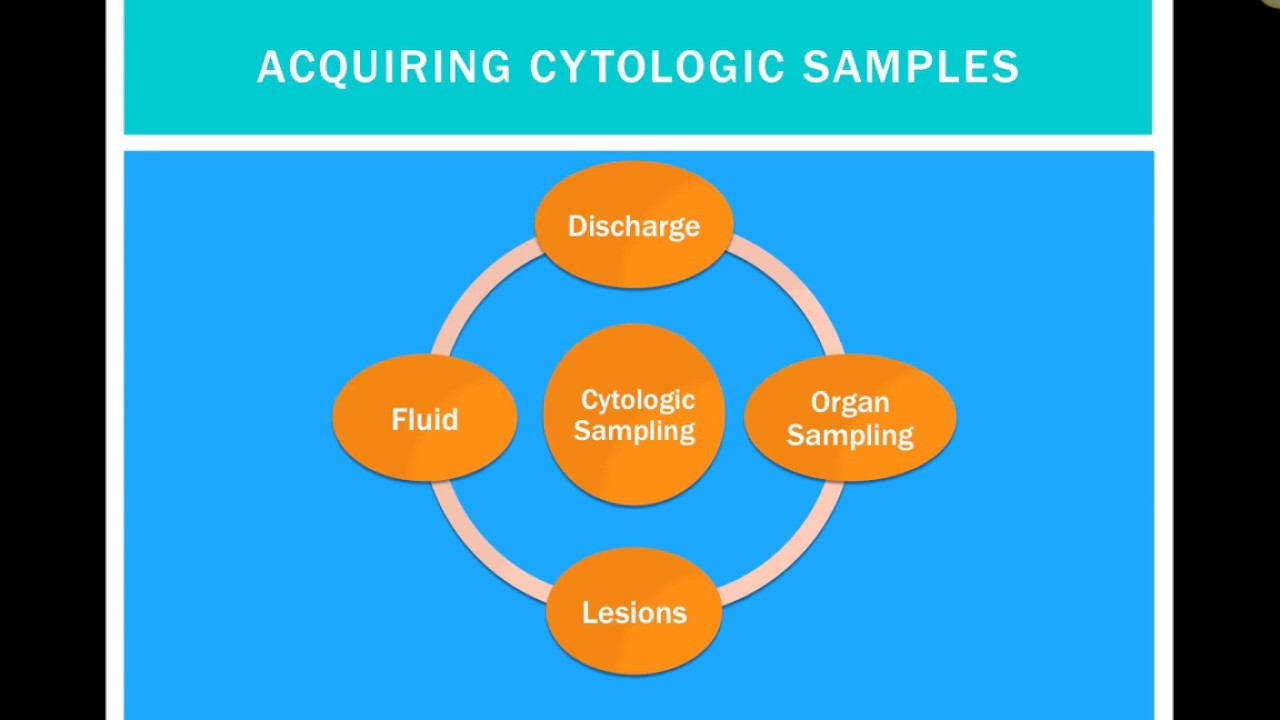 Sample Collection and Preparation (Veterinary Technician Education)