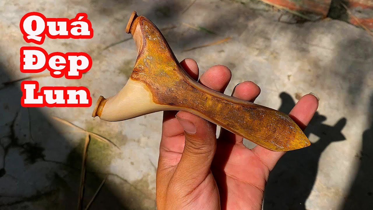 Làm Cây Ná Cao Su Dáng Ôm Đẹp Từ Nhánh Mai Vàng- Những Cây Ná Truyền Thống Ngày Xưa Hay Làm Chơi
