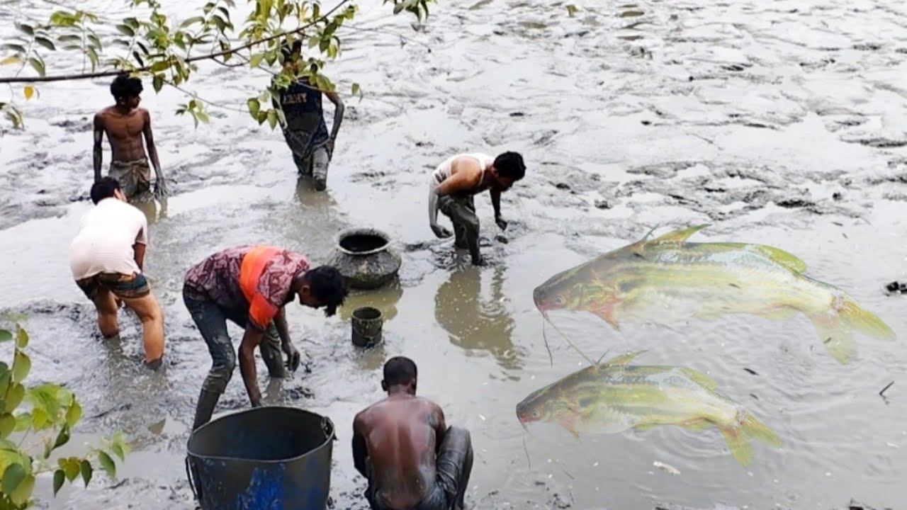 Womans Tengra horn fishing Rahima | Bengal fishing | Bangladeshi fishing | fishing | fish