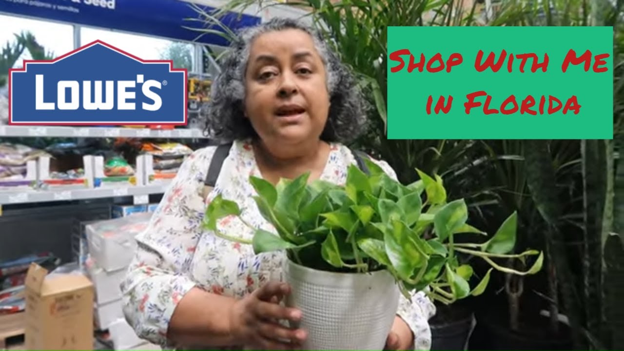 Florida Lowes Shop With Me