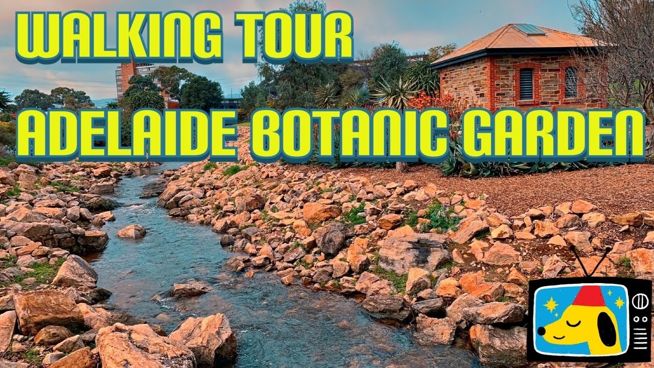 Walking Tour @ Adelaide Botanic Gardens, South Australia || Stanlig Films ||