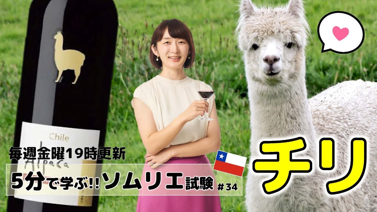【ワインの知識】5分で学ぶソムリエ・ワインエキスパート試験　Part.34チリワインの秘密