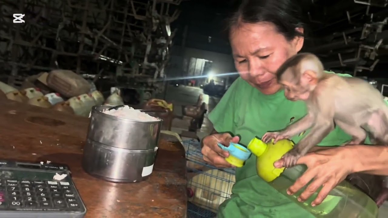 Mary eat rice with fried fish