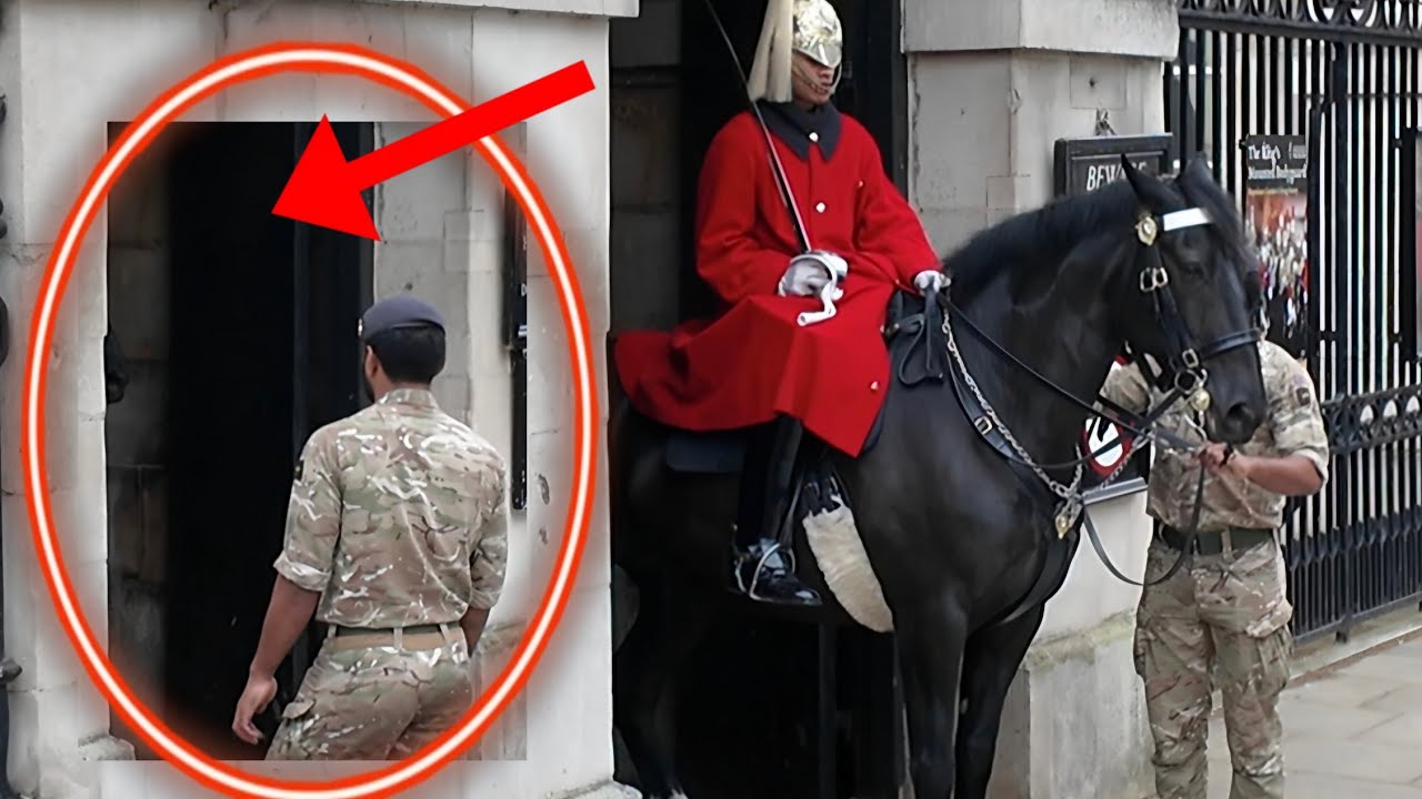 Why did the horse react after the trooper adjusted its reins?