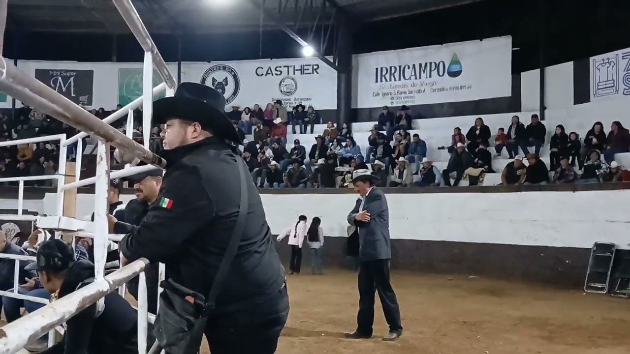 toros de reparo